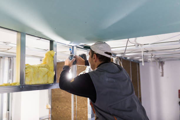 Best Types of Insulation in Gray Summit, MO