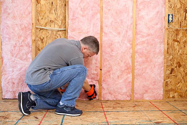Best Insulation Maintenance and Repair in Gray Summit, MO