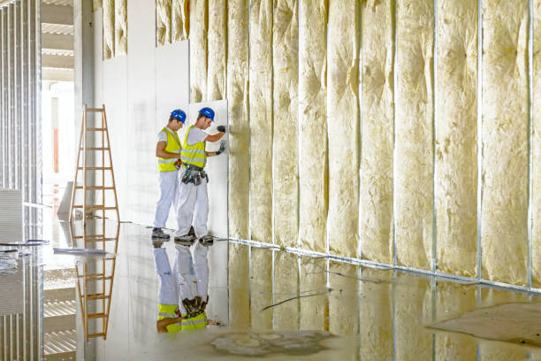 Best Residential Insulation in Gray Summit, MO